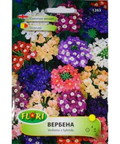 Семена за вербена 1263 – 0,3 г, цветен микс