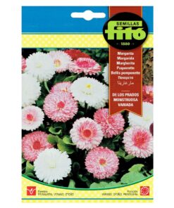 Семена за парички белис FITO – едри цветове, микс, 0,45 г – лице на оригиналното пакетче