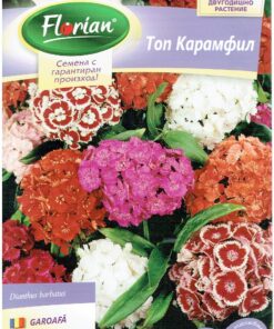 Семена за топ карамфил 1230 – микс, 0,5 г, Флориан